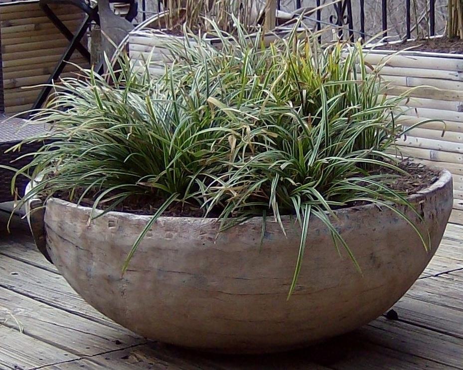 Ornamental Grasses in Wooden Planter.JPG from Sustain Landscape Design